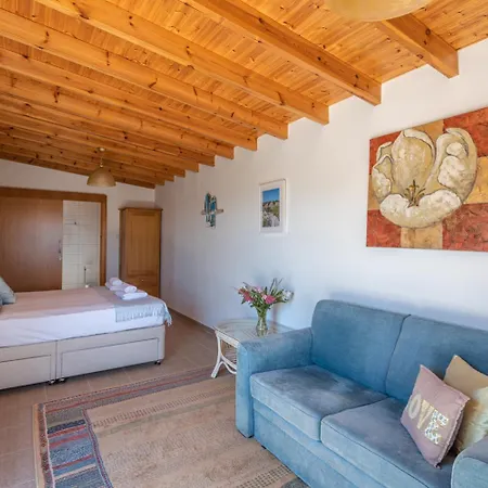 Villa Soteria Simou Drymou