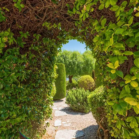 Soteria Simou ヴィラ Drymou